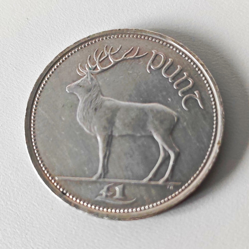Ireland 1991 punt decimal - 1,