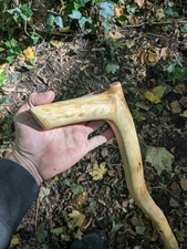 Heavy Duty Ash Shillelagh Wood