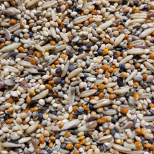 BUDGIE TONIC FOOD Colonels caged bird feed millet rapeseed niger pet seed mix