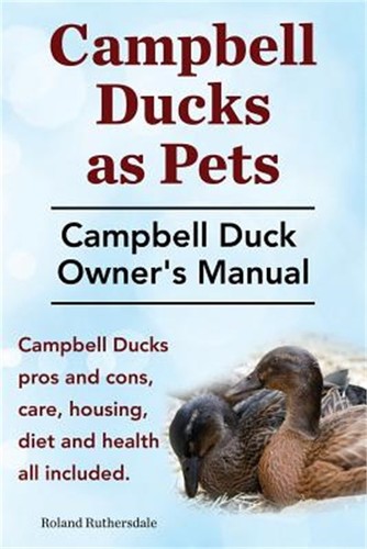 Campbell ducks pets - ducks,