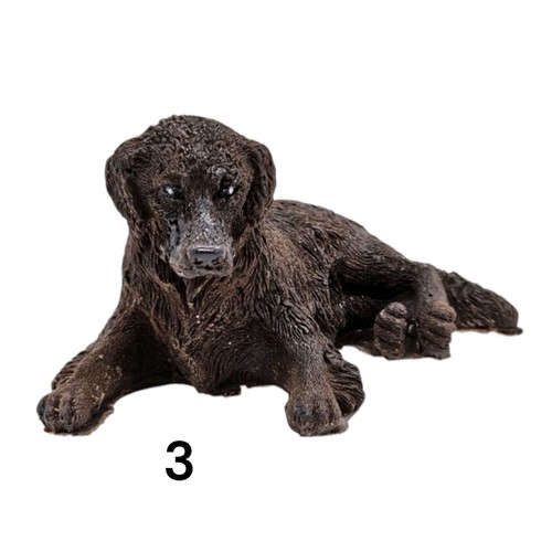 Chocolate laying labrador - chocolate,