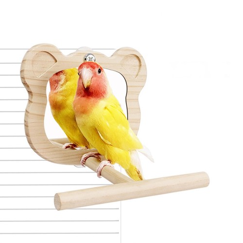 Wood bird mirror - bird, toy