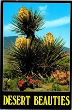 Desert Yucca, Beavertail and