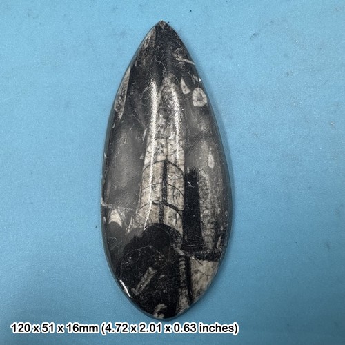 Polished black marble