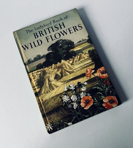 Ladybird book british wild - ladybird, of