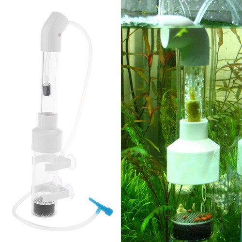 Aquarium fish egg incubator - aquarium,