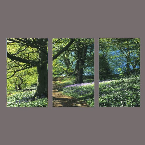 Large multi panel set - large,