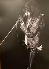 The ramones poster photograph - the,