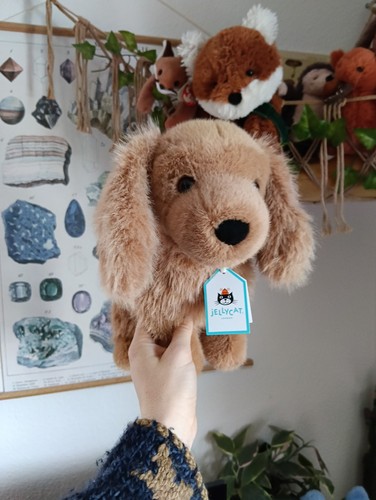 Jellycat pecanine sausage dog - sausage,