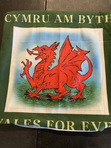 Welsh dragon wales for ever