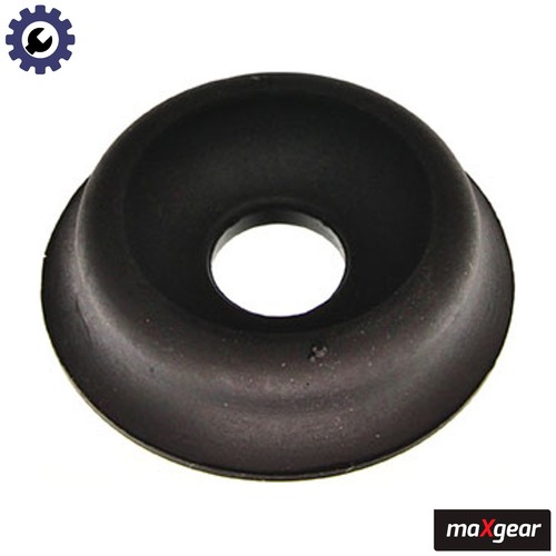 Suspension strut support - suspension,