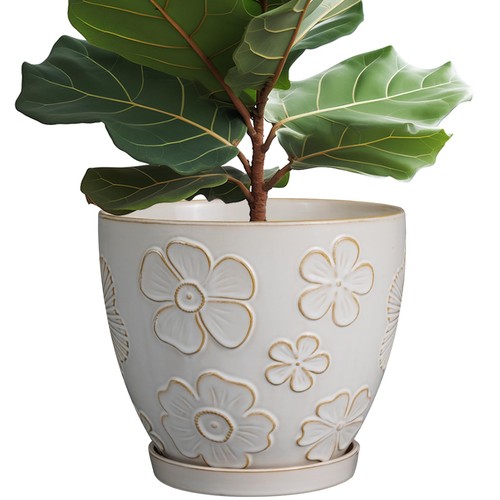 Inch ceramic planter pot - ceramic,