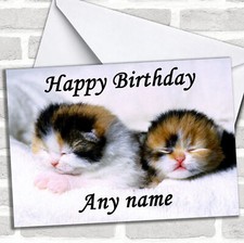 Adorable Sleeping Kittens