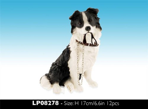 Walkies border collie sitting - border,