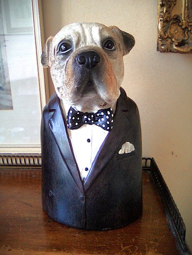 Large quirky english - quirky, winston