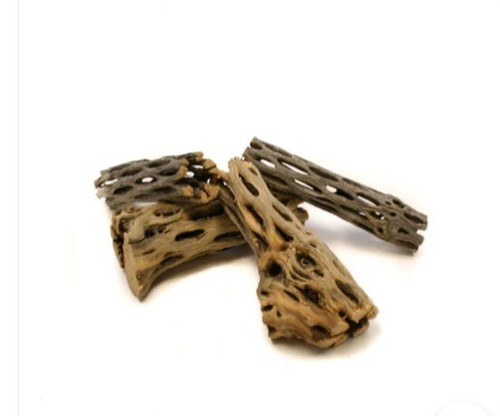 Cholla cactus wood mini - cholla,