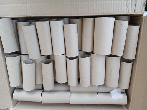 Toilet roll empty - toilet,