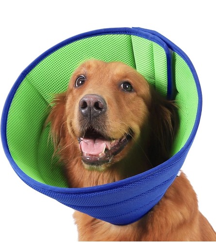 Soft dog cone - dog, for