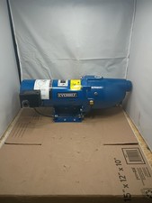 Everbilt 3/4 HP Cast Iron