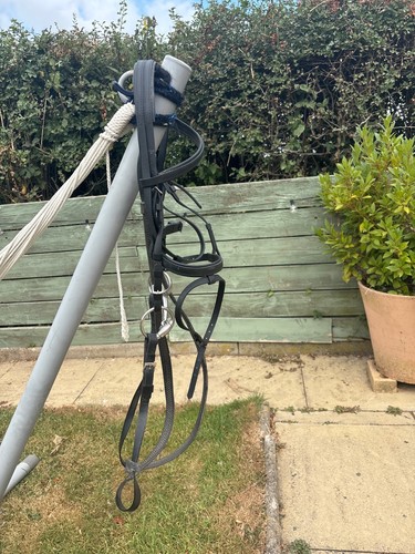 Wintec pony bridle - pony,