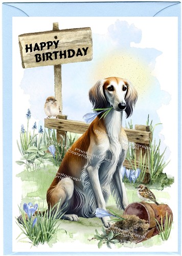 Saluki dog birthday card - saluki,
