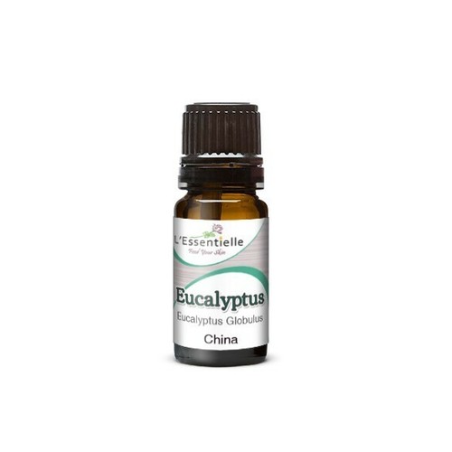 Eucalyptus essential oil pure - oil,
