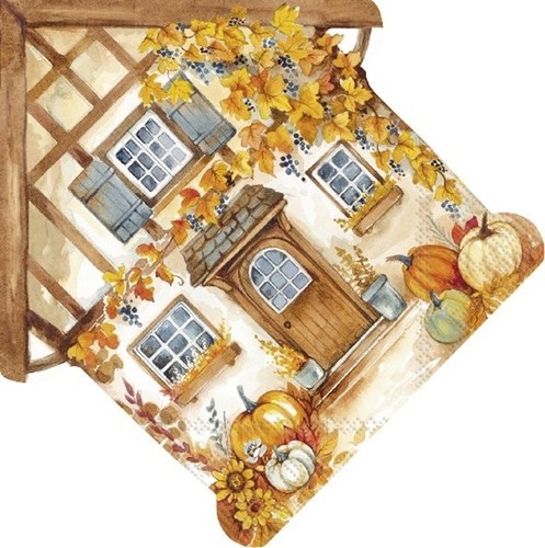 Paper napkins house - paper, napkins/house