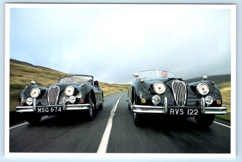Jaguar xk140 4x6 postcard - jaguar,