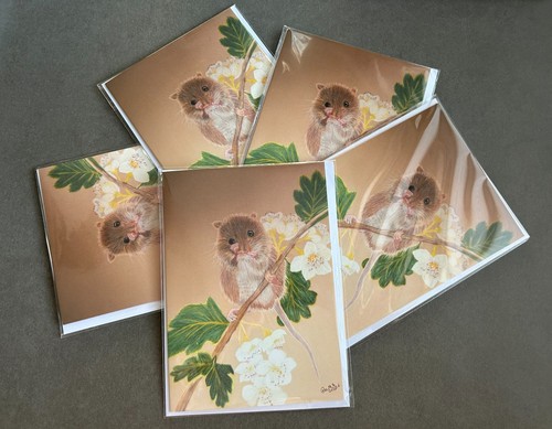Wildlife greeting cards - wildlife,
