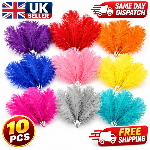 Pcs beautiful ostrich - 10,