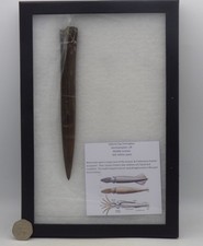 Large Fossil Belemnite  Oxford Clay Formation  Middle Jurassic Glass  Framed