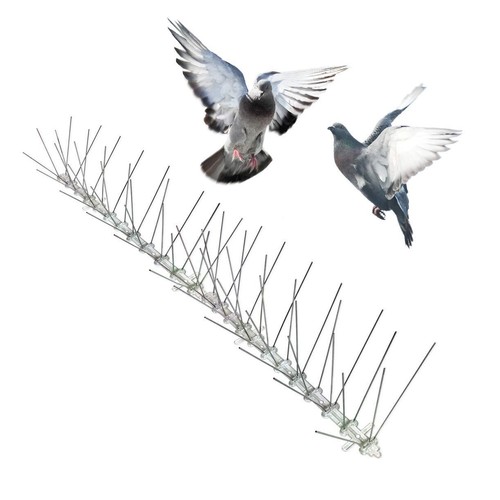 40m pigeon bird - 10/20/30/40m,