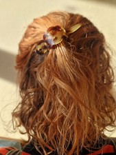 Tortoiseshell Hair Clip