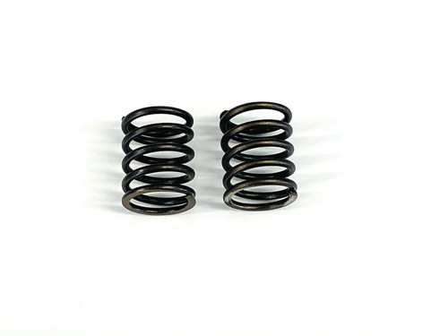 Genuine valve springs - valve,