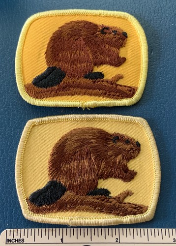 Different boy scouts - boy, canada