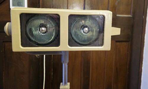 Vintage polish famed 200 - famed,