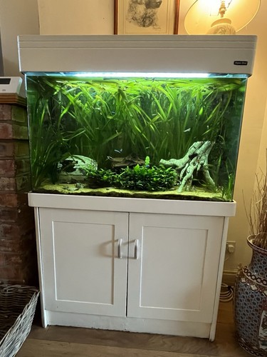 Aquarium cabinet 250 - aquarium,