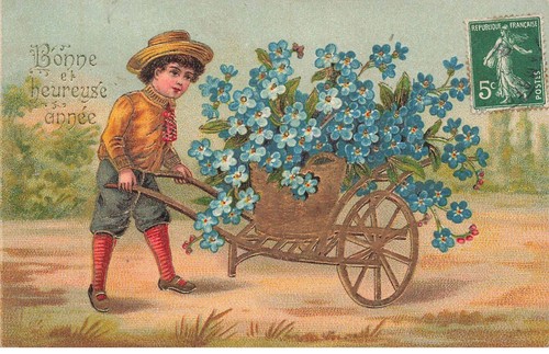 Mikiep11 034 child - -, flower