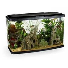 Marina Vue 87L Aquarium Fish