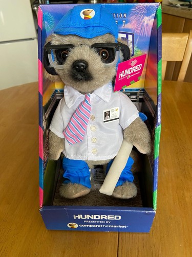 Sergei meerkat cricket - meerkat, hundred