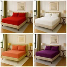 Teddy bear soft fleece - , extra