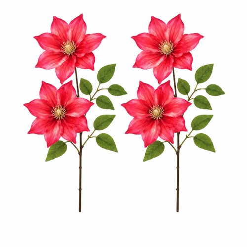 Coral red clematis - clematis, faux