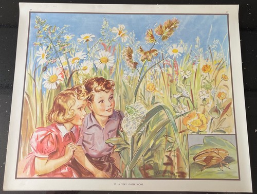 Vintage 1950s enid - vintage, blyton