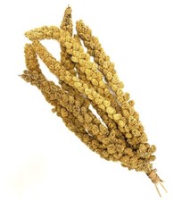 Millet sprays 1kg - millet,