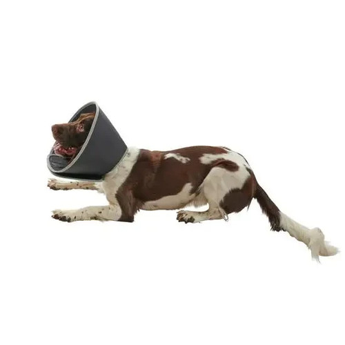 Buster recovery foam collar - recovery,