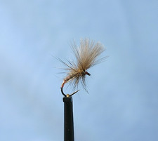 CDC Pearly Butt HE Emerger