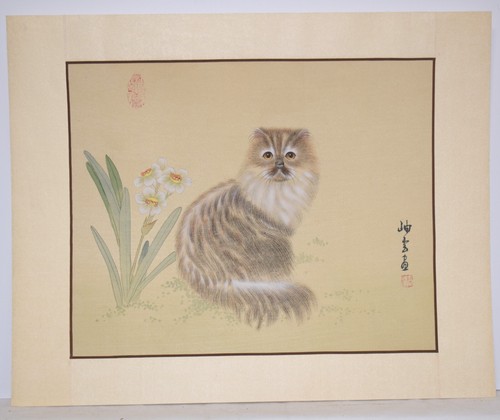 Himalayan cat watercolor - cat,