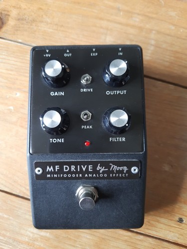 Moog drive minifooger - moog, mf