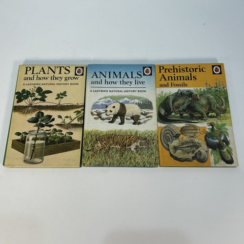 Vintage ladybird books series - vintage,