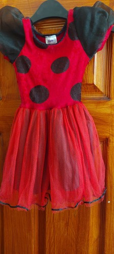 Lady bird costume for 2 - lady, to